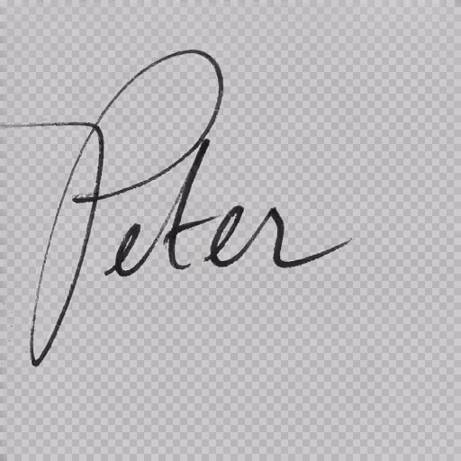 An elegant cursive handwritten signature with graceful flowing loops and refined flourishes, rendered on premium white paper with a polished metallic fountain pen